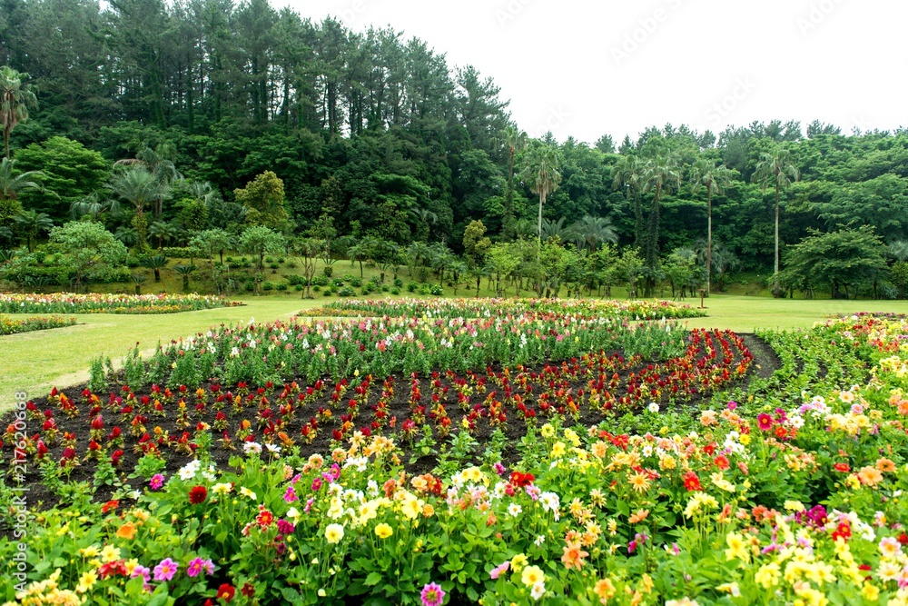 春の花が満開の公園