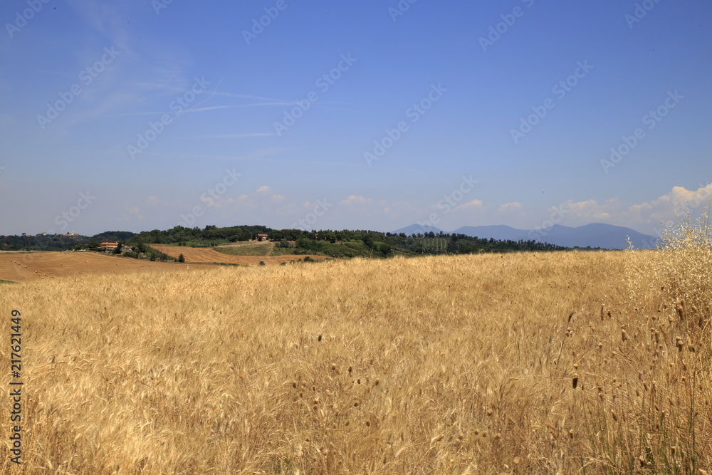 Paesaggio Toscano