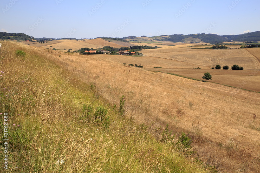 Fototapeta premium Paesaggio Toscano