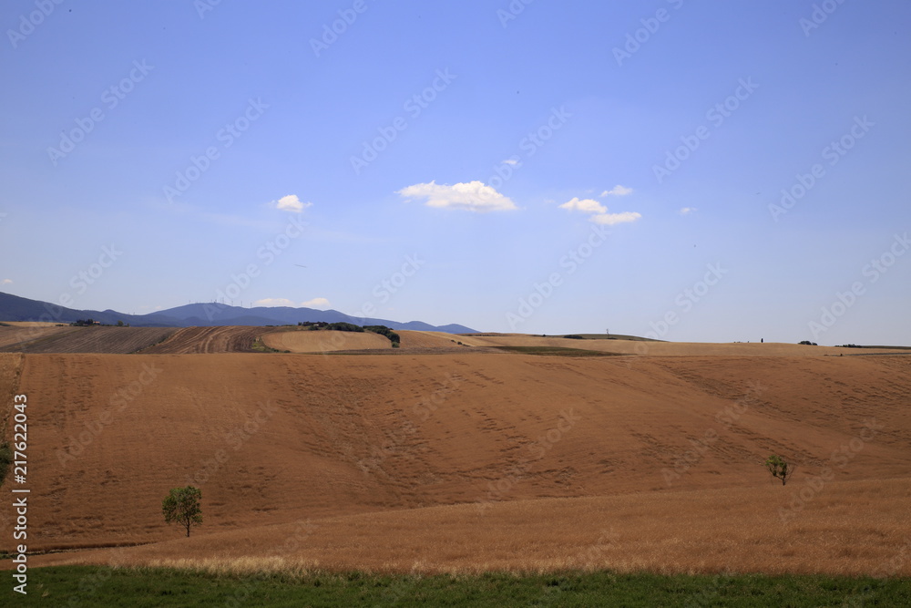 Obraz premium Paesaggio Toscano