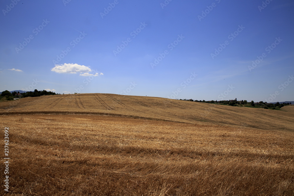 Paesaggio Toscano