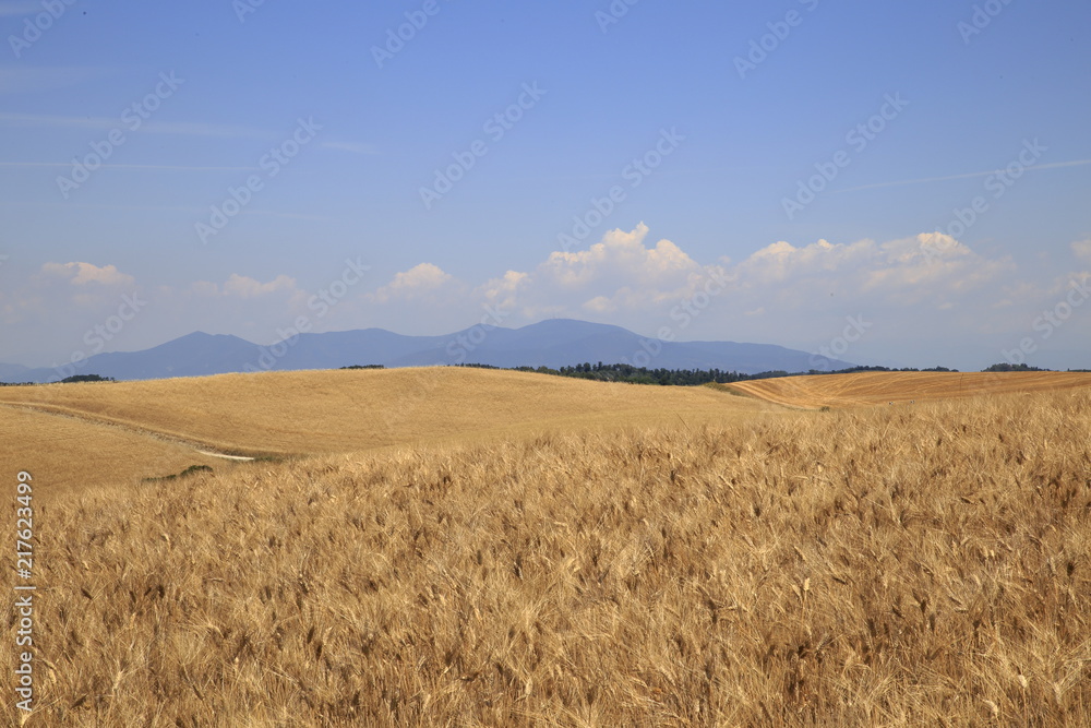 Paesaggio Toscano Paesaggio Toscano
