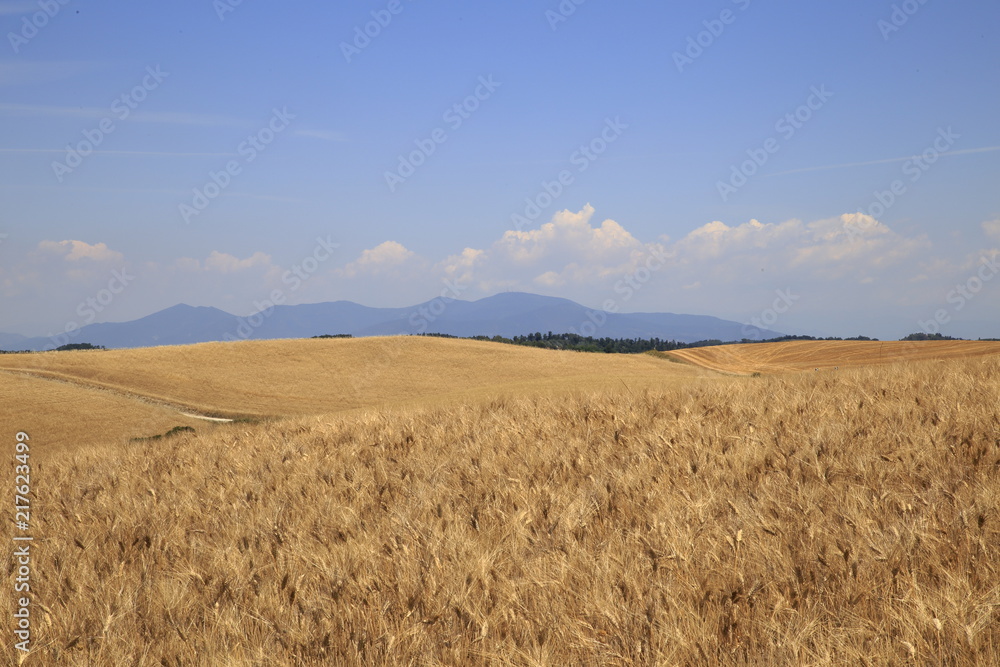 Paesaggio Toscano