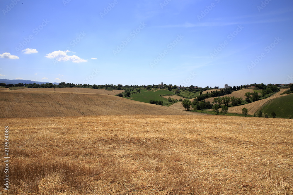 Obraz premium Paesaggio Toscano