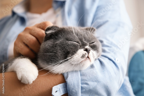 Fotografija Woman stroking her cat at home, closeup