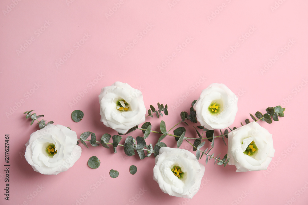 Eucalyptus branches with fresh green leaves and flowers on color background. Flat lay composition with space for design Eucalyptus branches with fresh green leaves and flowers on color background. Flat lay composition with space for design