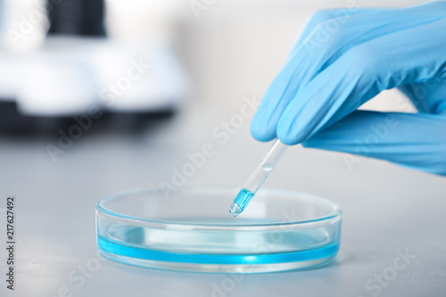 Analyst dripping reagent into petri dish with sample at laboratory. Chemical analysis