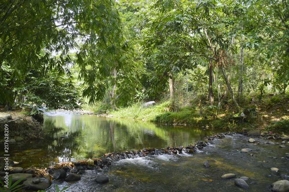 the scenic view of the river the scenic view of the river