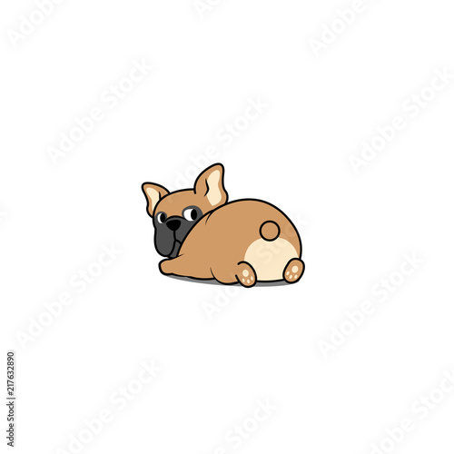 Cute french bulldog lying down and looking back, vector illustration