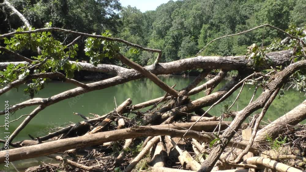 Georgia, Medlock Bridge, A zoom out from a pile of dead trees with the Chattahoochee River behind it Georgia, Medlock Bridge, A zoom out from a pile of dead trees with the Chattahoochee River behind it
