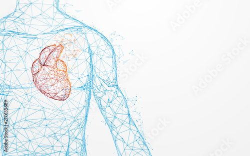 Foto Human heart anatomy form lines and triangles, point connecting network on blue background