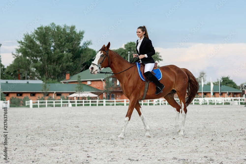 Rider elegant woman riding her horse outside Rider elegant woman riding her horse outside