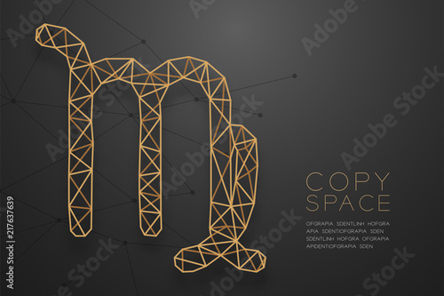 Virgo Zodiac sign wireframe Polygon golden frame structure, Fortune teller concept design illustration isolated on black gradient background with copy space, vector eps 10