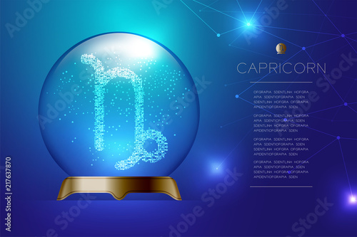 Capricorn Zodiac sign in Magic glass ball, Fortune teller concept design illustration on blue gradient background with copy space, vector eps 10