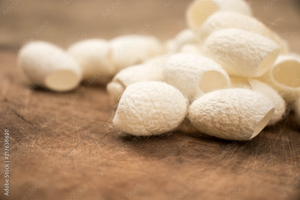 Group of white silk cocoons placed on the wooden floor,Vintage style. Group of white silk cocoons placed on the wooden floor,Vintage style.