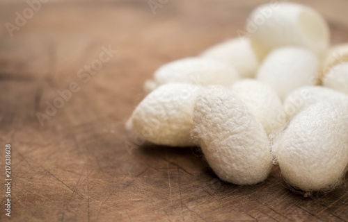 Group of white silk cocoons placed on the wooden floor,Vintage style.