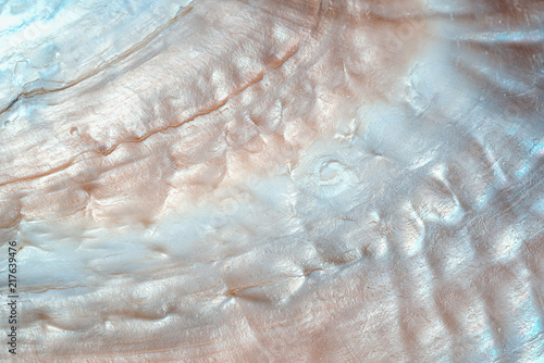 Fotografia luxury nacre seashell background texture close up