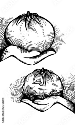 Tomato and Rotten Tomato Vector