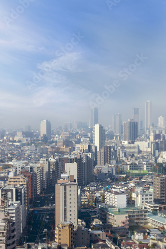 cityscape of tokyo city skyline from skyscraper view, modern business office building with blue sky background in Tokyo metropolis city, Japan. © lukyeee_nuttawut