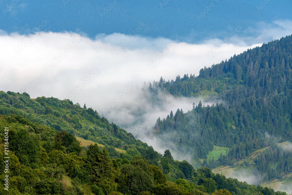Fototapeta premium Foggy morning in the mountains