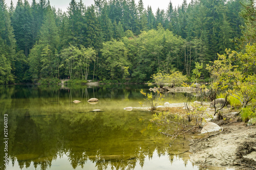 Fototapeta Naklejka Na Ścianę i Meble -  calm lake surrounded by the trees with reflection of surroundings