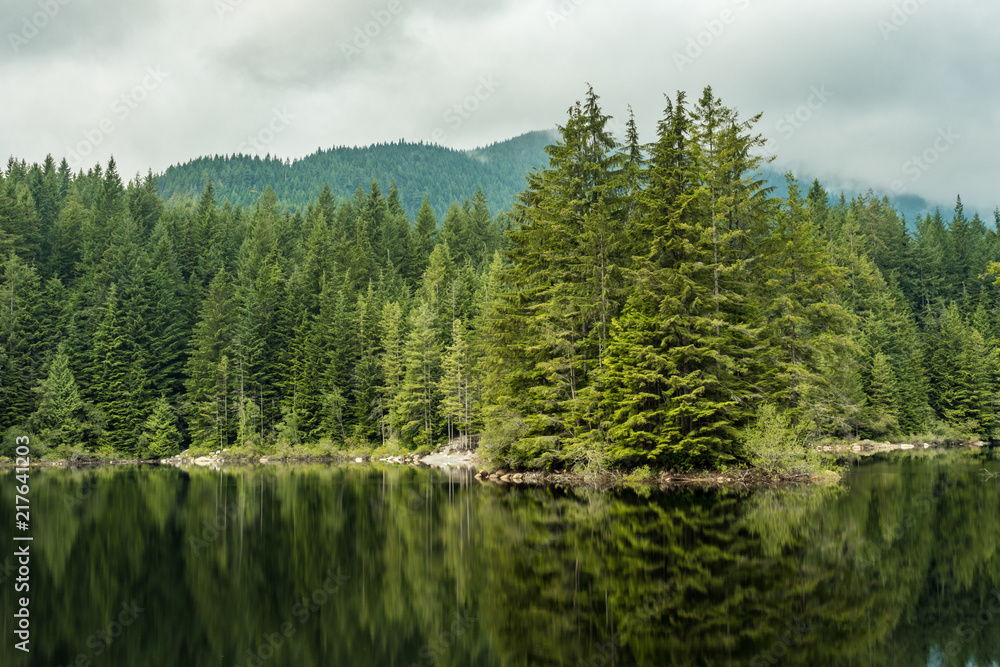 reflection of trees on the surface of the lake with mountains and cloud behind the forest.