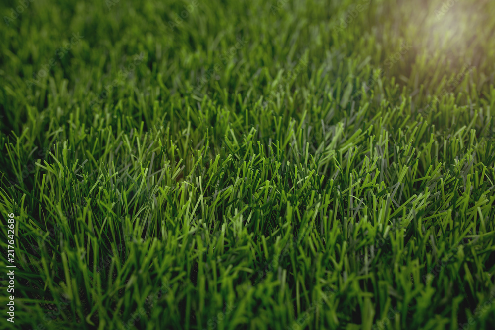 Sunshine grass background Sunshine grass background