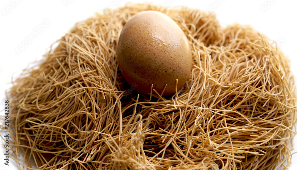 egg and nest close up white background