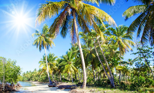 Ferien, Tourismus, Sommer, Sonne, Strand, Auszeit, Meer, Glück, Entspannung, Meditation, Palmen, Mangroven: Traumurlaub an einem einsamen, karibischen Strand :) 