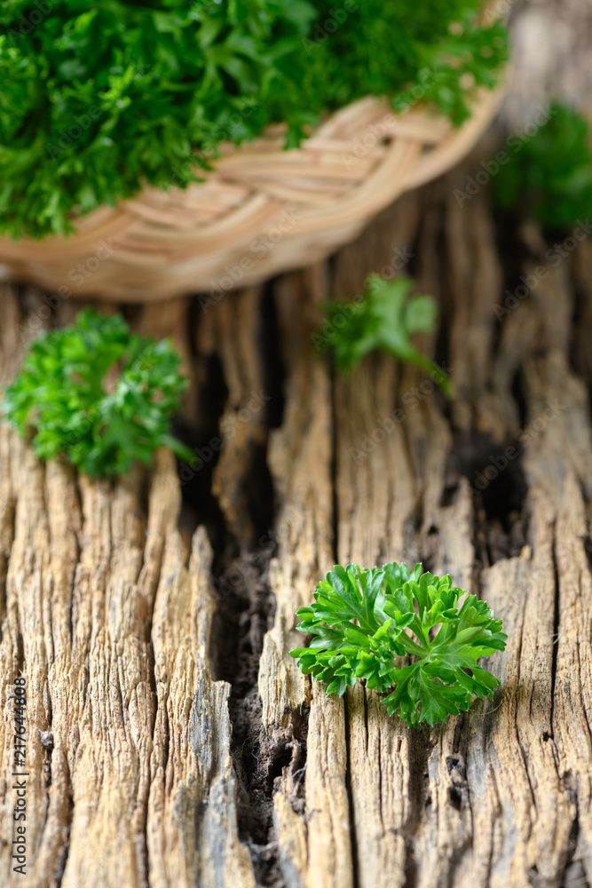 Fresh Parsley leaf on wood background, Fresh Parsley leaf on wood background,