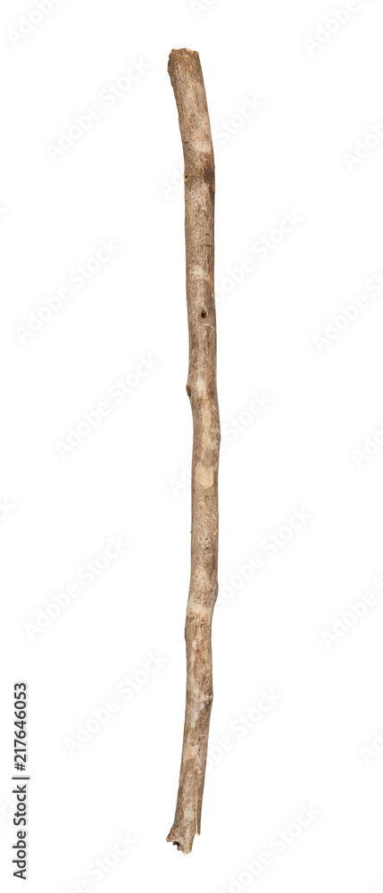 Tree stick isolated on white background Tree stick isolated on white background