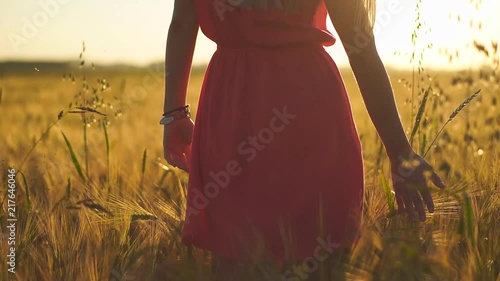 Young woman walking in wheat field on sunset photo