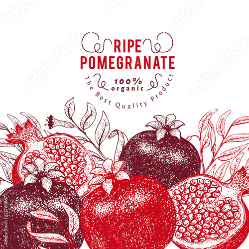 Pomegranate fruit design template. Hand drawn vector fruit illustration. Engraved style vintage botanical background.