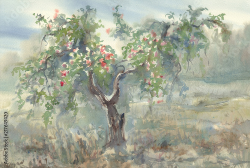 Apple tree with fruits watercolor background. Autumn landscape