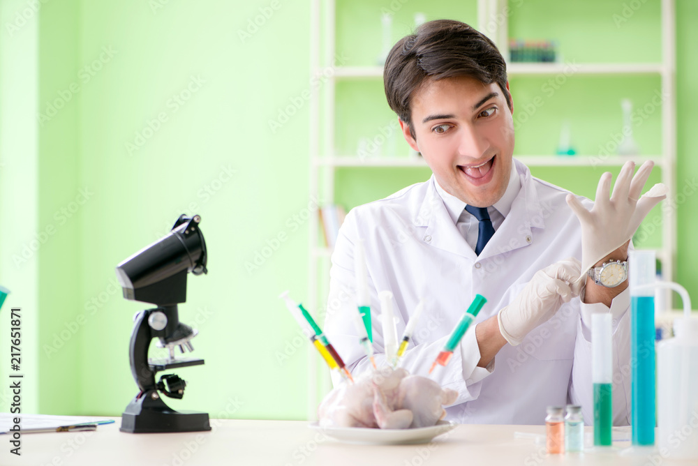 Lab assistant testing GMO chicken Lab assistant testing GMO chicken