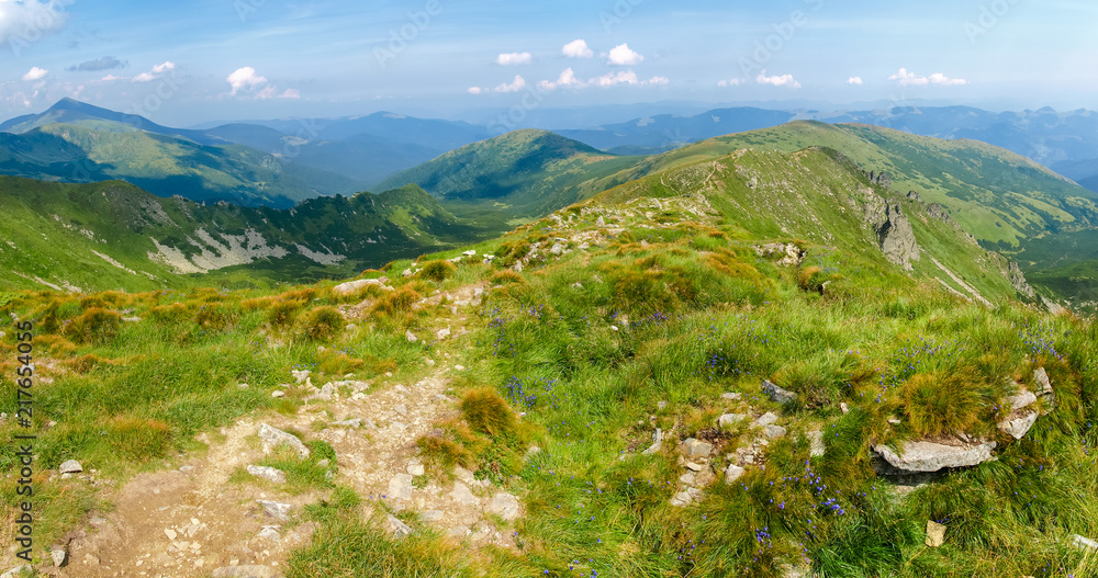 Mountain ridge and its spurs in the Carpathian Mountains