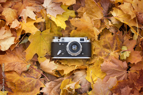 Retro camera lies on the yellow autumn leaves. Concept of beginn