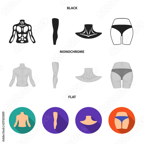 Torso, leg, neck and buttocks. Body parts set collection icons in black, flat, monochrome style vector symbol stock illustration web.