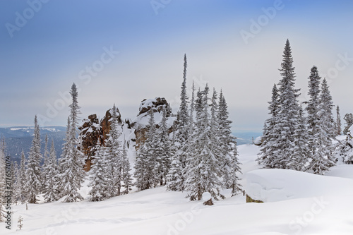 Winter forest landscape with trees covered snow in Altay Mountains. Mount Utuya. Fantastic wood. Siberia, Kemerovo region, Sheregesh ski resort, March 2018.