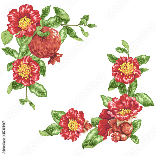 Template in vector illustration with pomegranate flowers