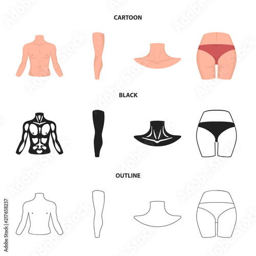 Torso, leg, neck and buttocks. Body parts set collection icons in cartoon,black,outline style vector symbol stock illustration web.
