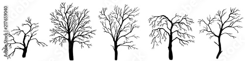 set hand drawn dead tree, vector