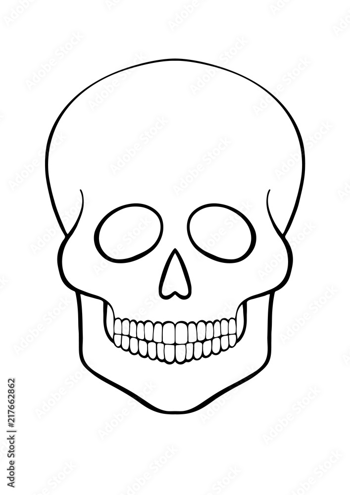 hand-drawn contour skull