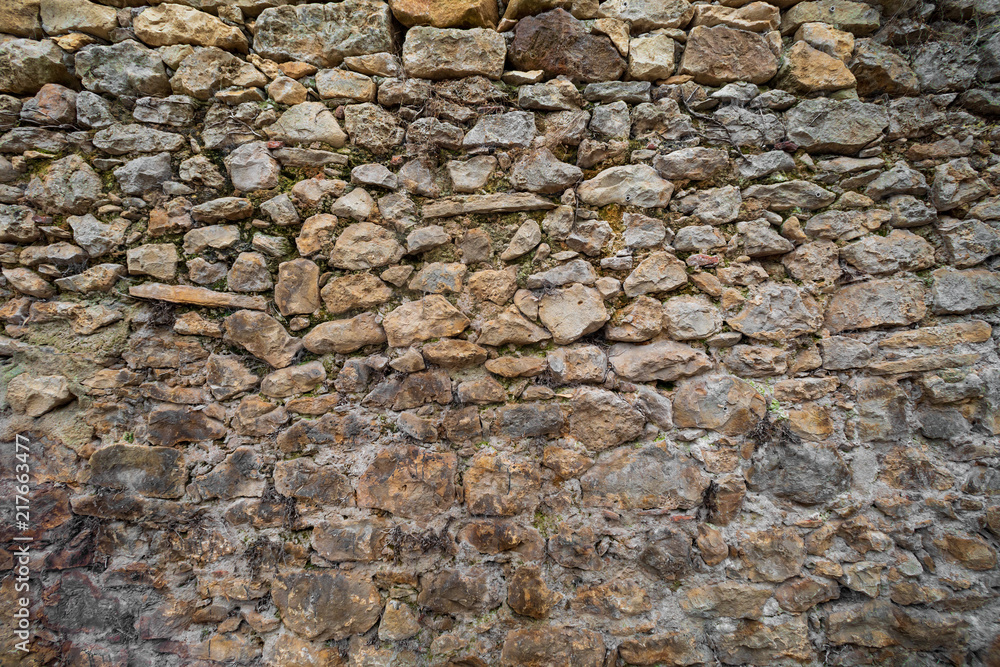 Beautiful and old stone wall with moss and vegetation (moss, ferns, grass) facing north Beautiful and old stone wall with moss and vegetation (moss, ferns, grass) facing north