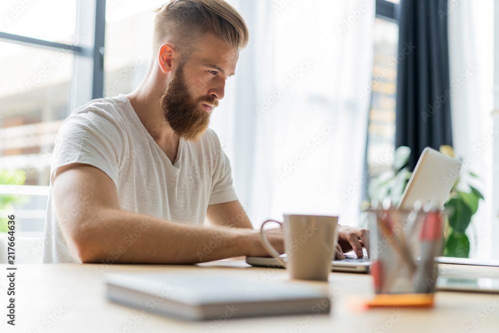 Handsome businessman working with laptop in office. Handsome businessman working with laptop in office.