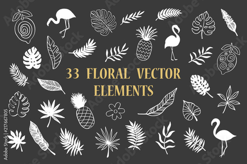 Set of tropical summer hawaiian plants, palm leaves, flamingo