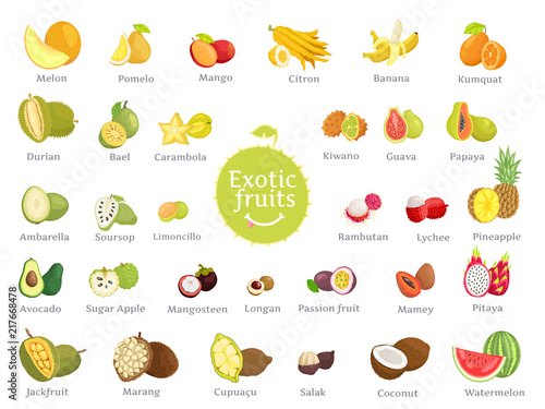Delicious Exotic Fruits Full of Vitamins Big Set photo