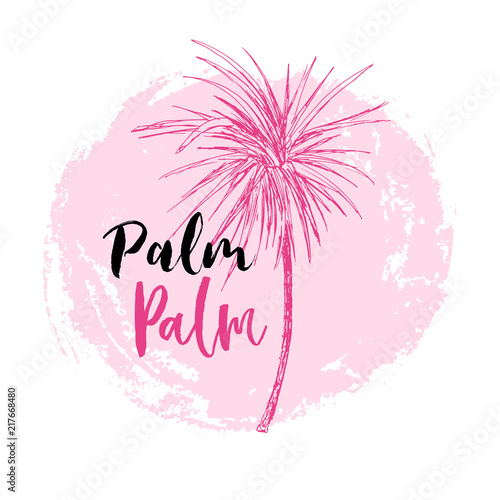 Isolated coconut or queen palm tree with leaves. Beach and rainforest, desert coco flora. Foliage of subtropical fern. Green palmae or jungle arecaceae. Island climate,botany, environment theme