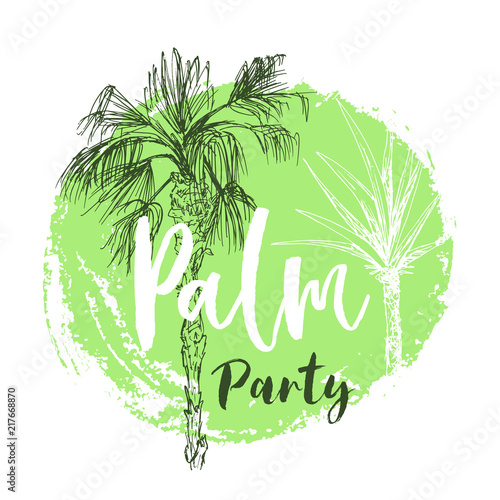 Isolated coconut or queen palm tree with leaves. Beach and rainforest, desert coco flora. Foliage of subtropical fern. Green palmae or jungle arecaceae. Island climate,botany, environment theme