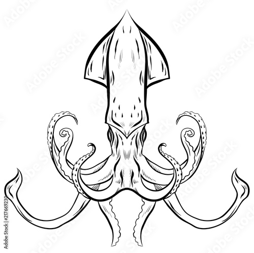 Contour black and white illustration of squid. The object is separate from the background. Linear illustration for printing on T-shirts, covers, sketches of tattoos and your design.